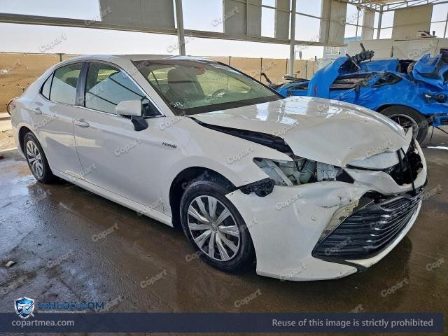 Auction photo
