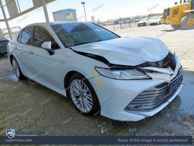 Auction photo