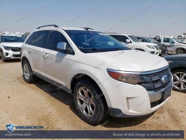 Auction photo