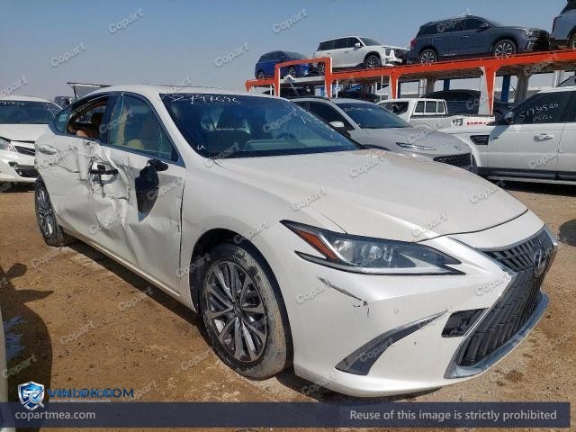 Auction photo
