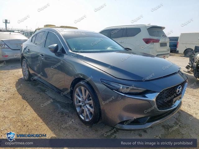 Auction photo