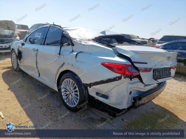 Auction photo