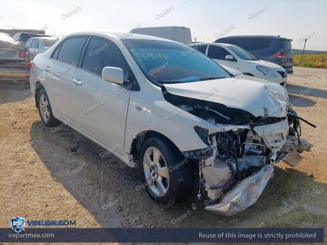 Auction photo
