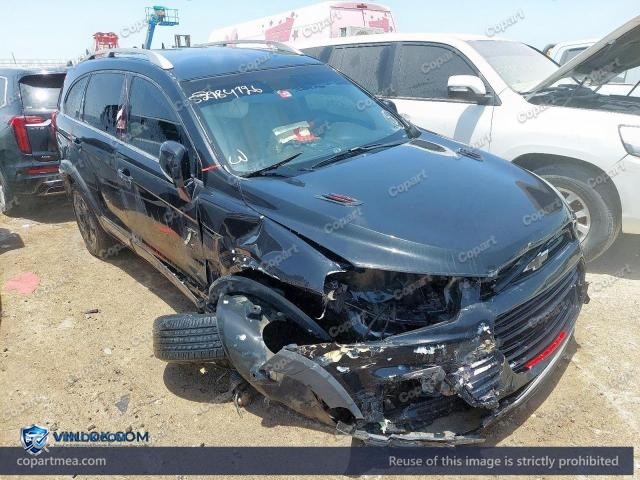 Auction photo