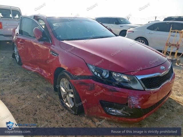 Auction photo