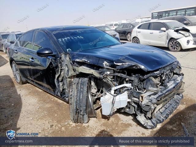 Auction photo