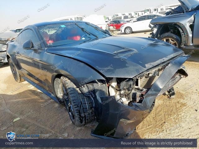 Auction photo