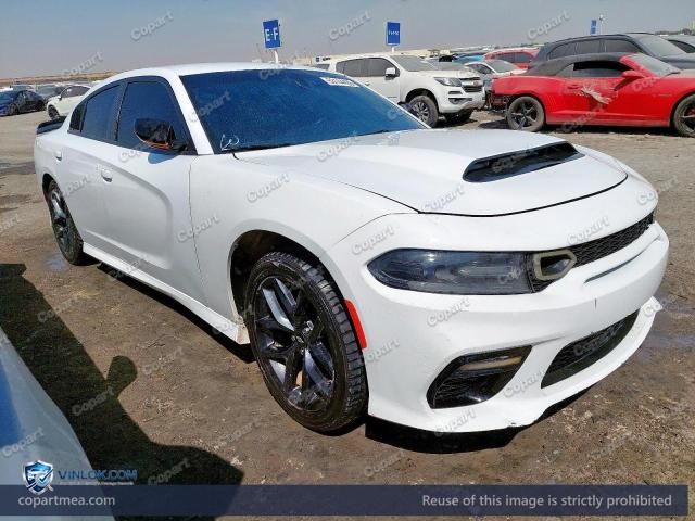 Auction photo