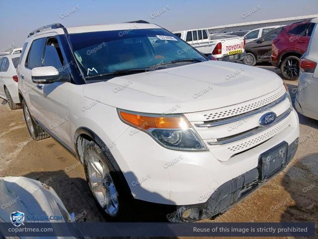 Auction photo