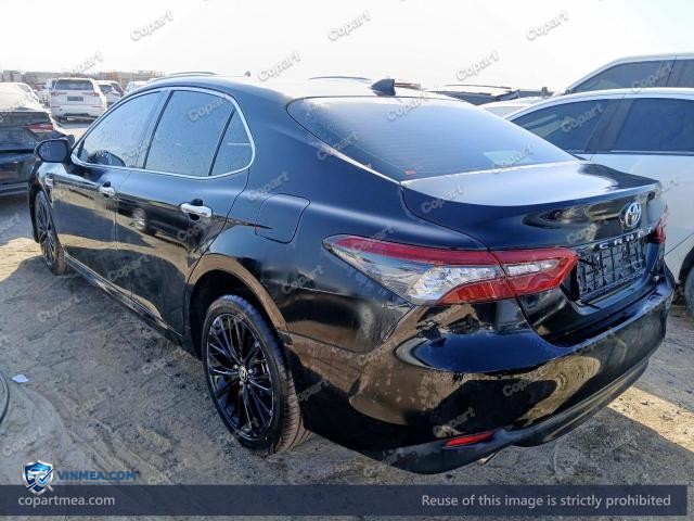 Auction photo