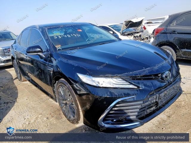 Auction photo