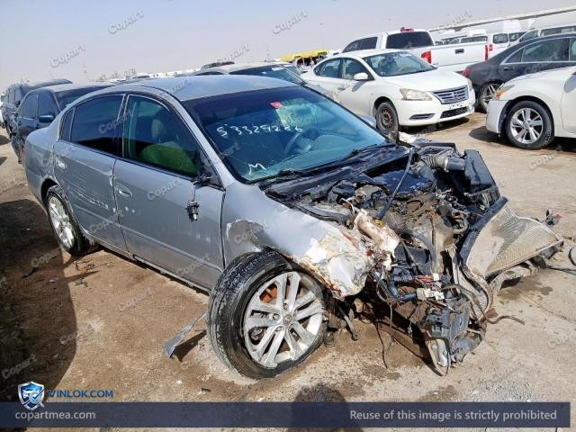 Auction photo