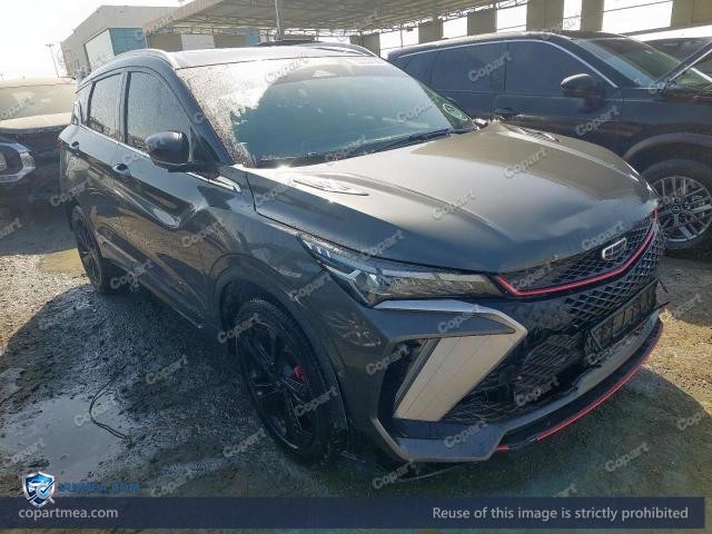 2025 GEEA COOLRAY — Lot 53333196 auction photo