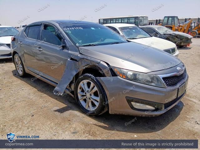 Auction photo