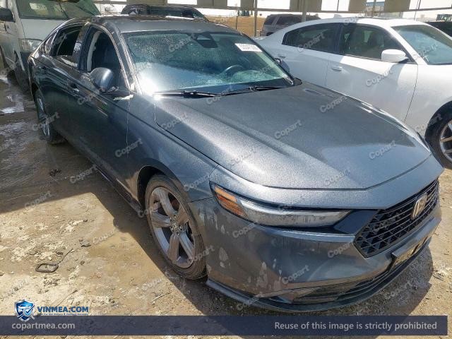 Auction photo