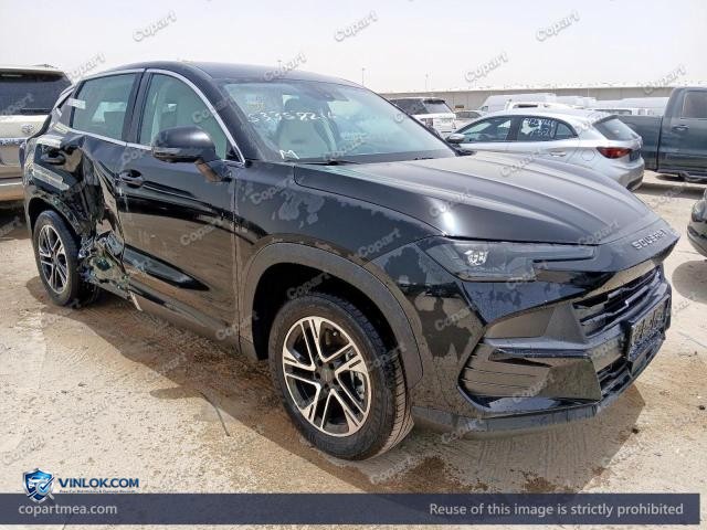 2026 SOUE S06 — Lot 53358216 auction photo
