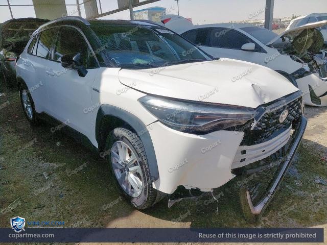 Auction photo