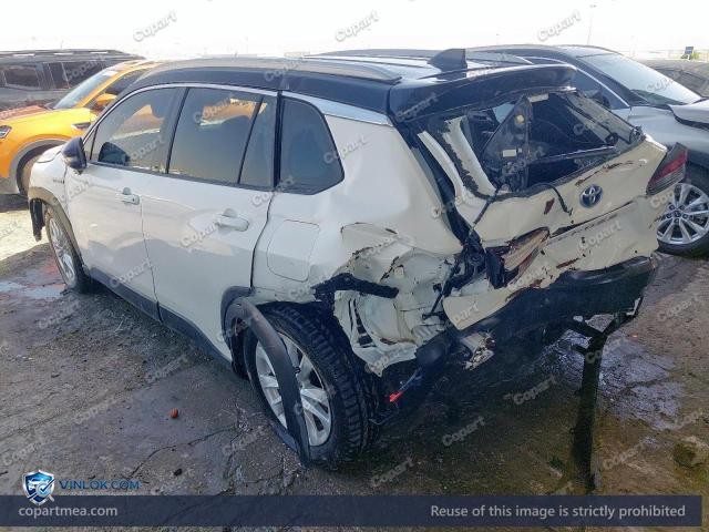 Auction photo
