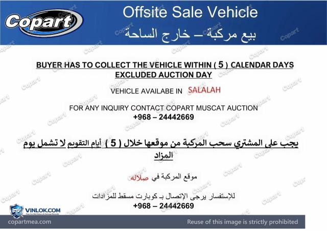 Auction photo