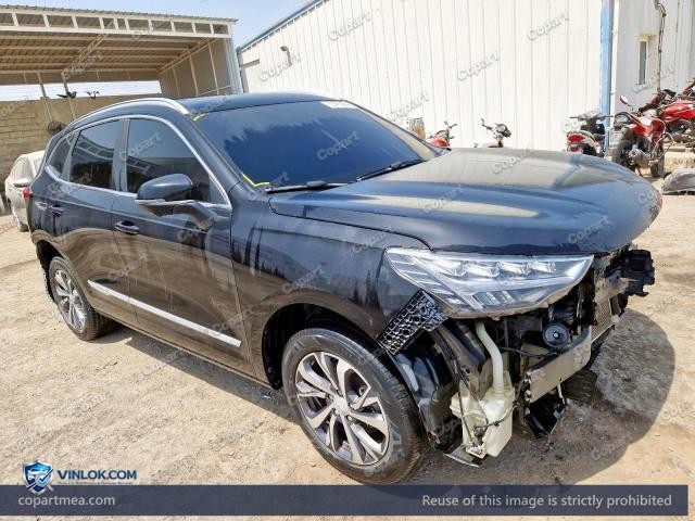 2023 HAVA JOLION — Lot 53460886 auction photo