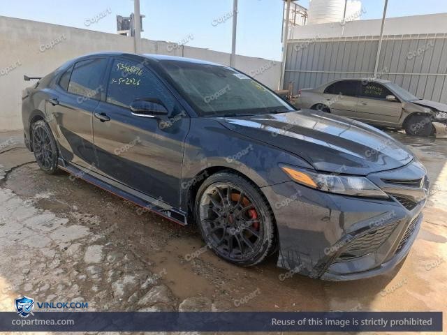 Auction photo