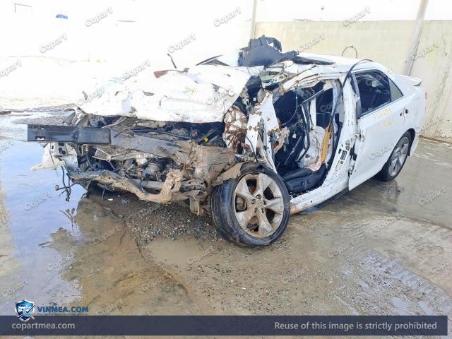 Auction photo
