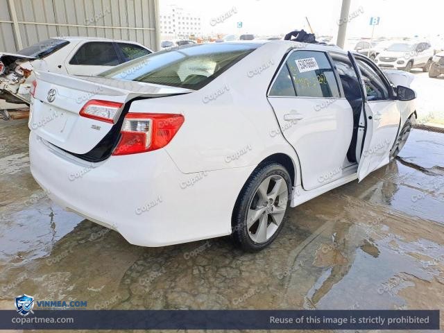 Auction photo
