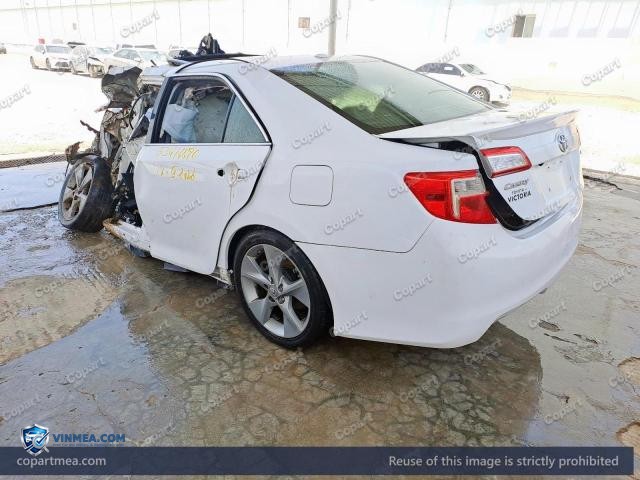 Auction photo