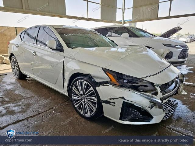 Auction photo