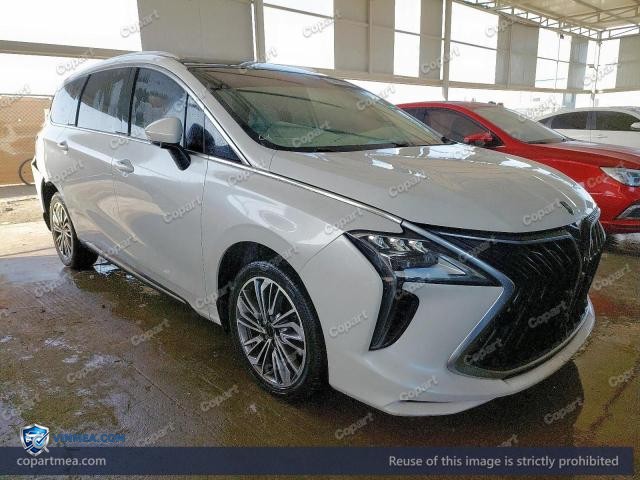 2024 DONG U — Lot 53478606 auction photo