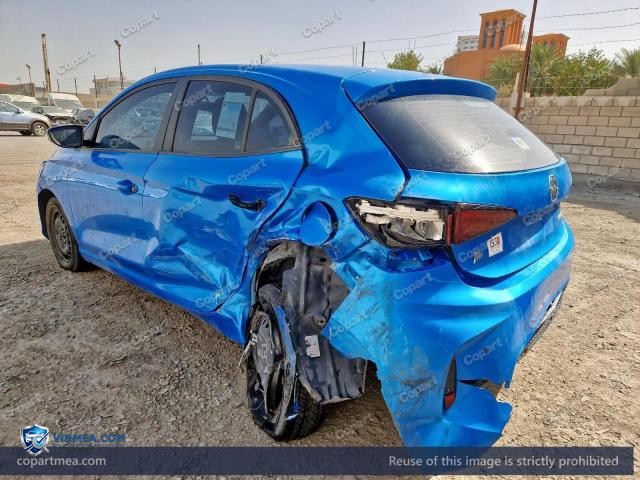 Auction photo