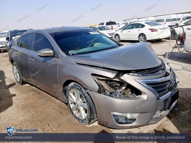 Auction photo