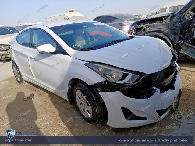 Auction photo