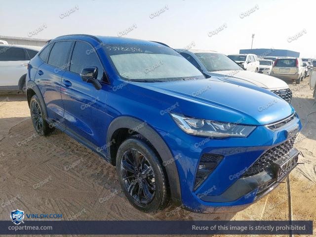 2023 HAVA H6 — Lot 53482546 auction photo
