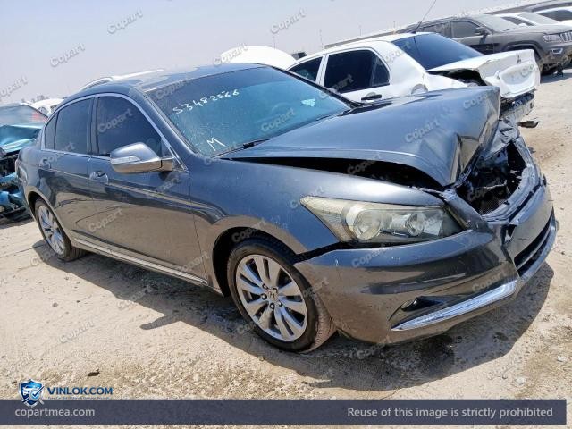 Auction photo