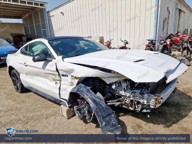 Auction photo