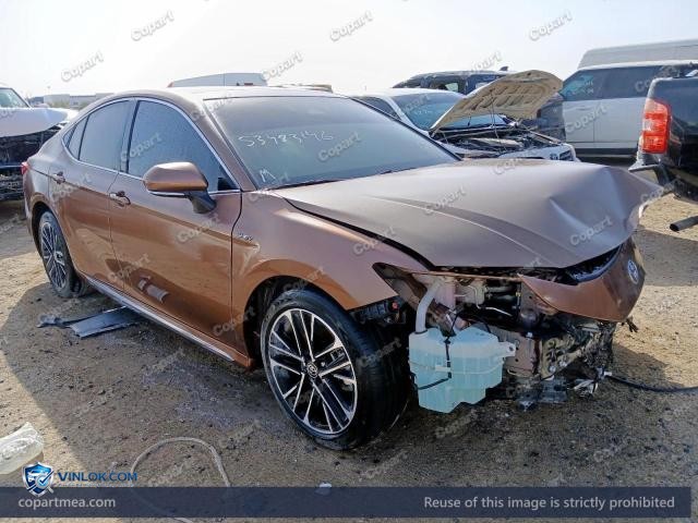 Auction photo