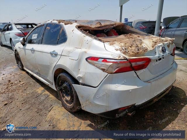 Auction photo