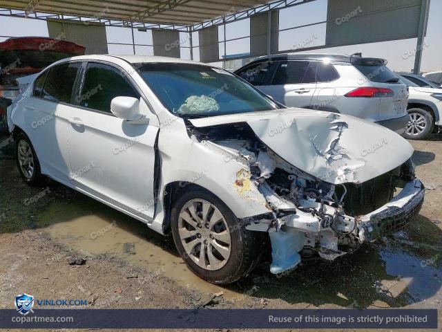 Auction photo