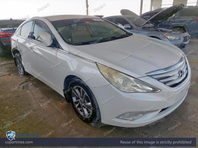 Auction photo