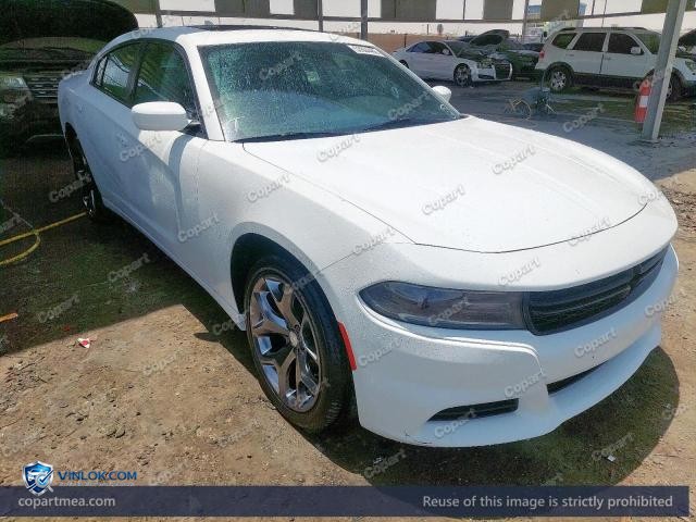 Auction photo