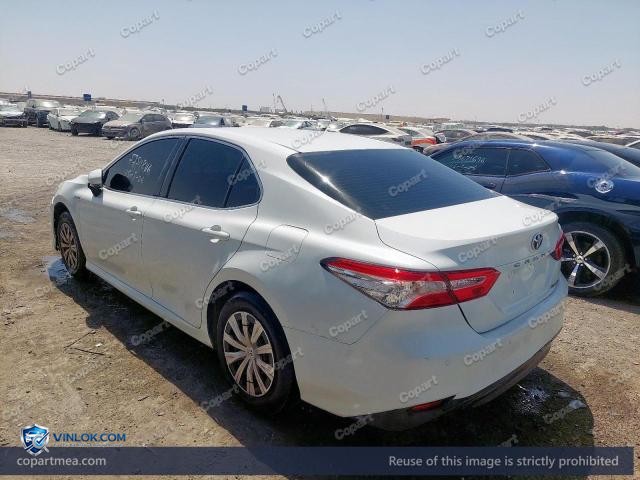 Auction photo