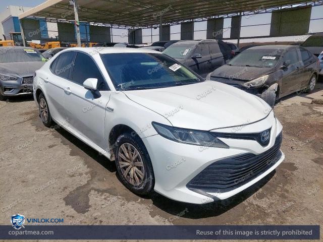 Auction photo