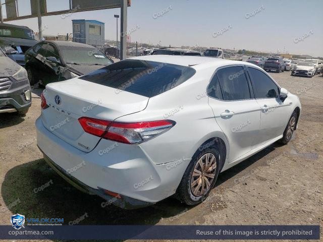 Auction photo