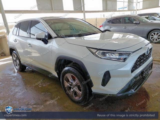 2025 TOYOTA RAV 4 — Lot 53508456 auction photo