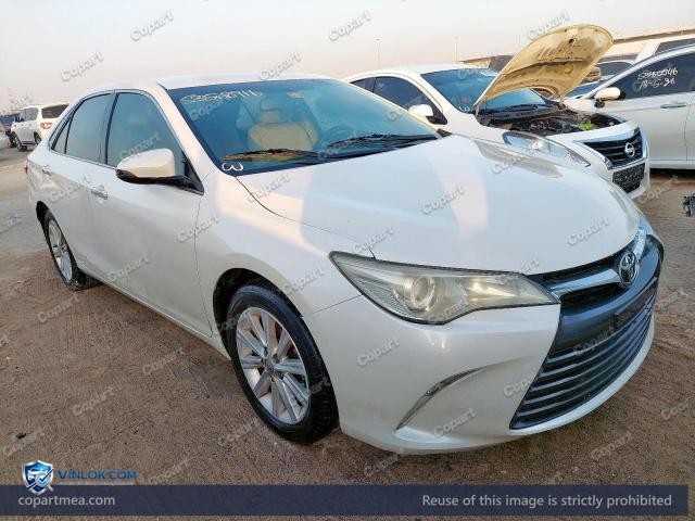 Auction photo