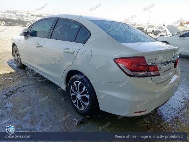 Auction photo