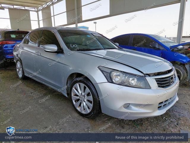 Auction photo