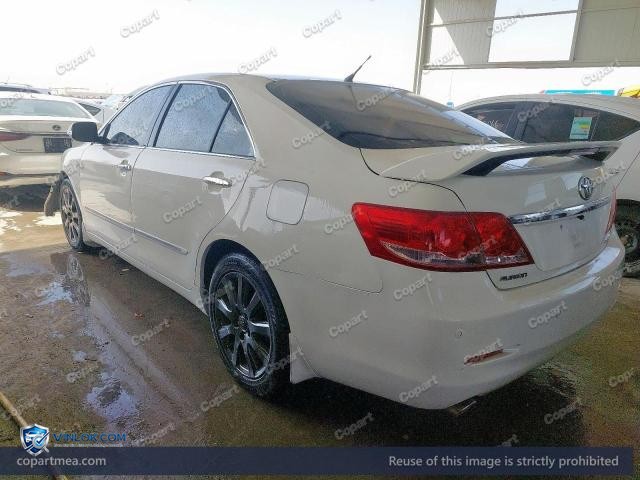 Auction photo