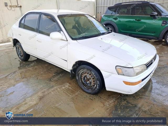 Auction photo